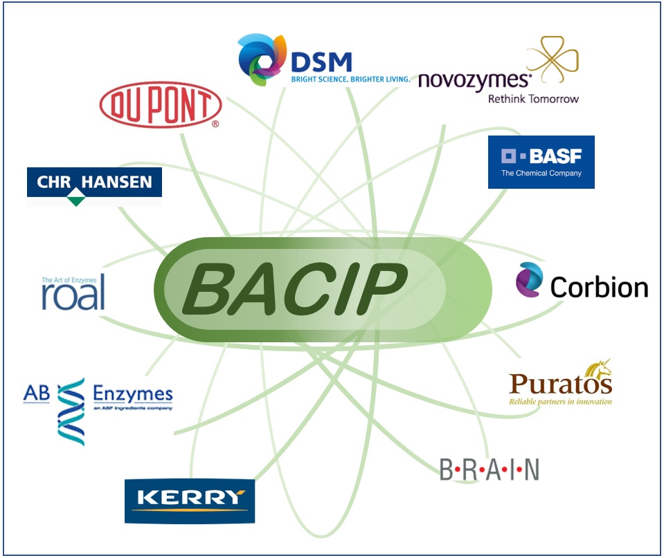 BACIP Logo